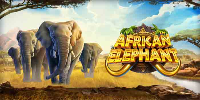 Menang Mudah dari Slot African Elephant Terbaik